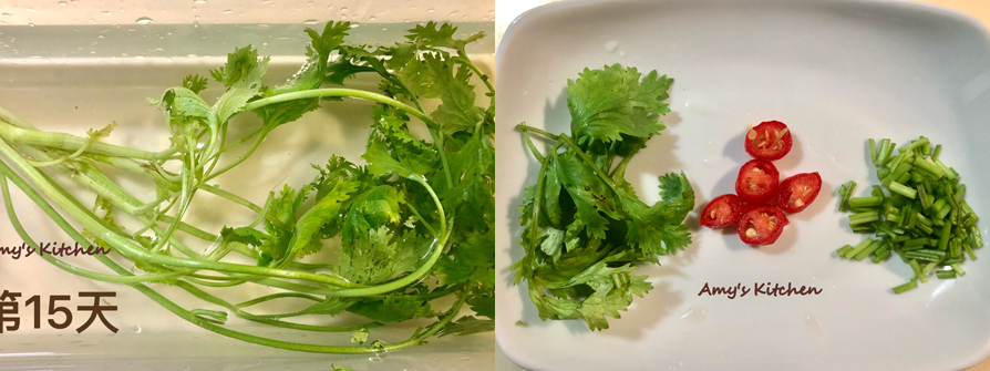 【油醋杏鮑菇】Oil and Vinegar King Oyster Mushrooms