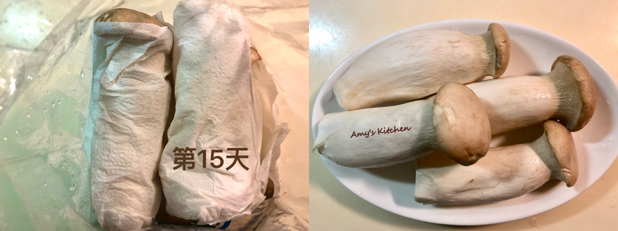 【油醋杏鮑菇】Oil and Vinegar King Oyster Mushrooms