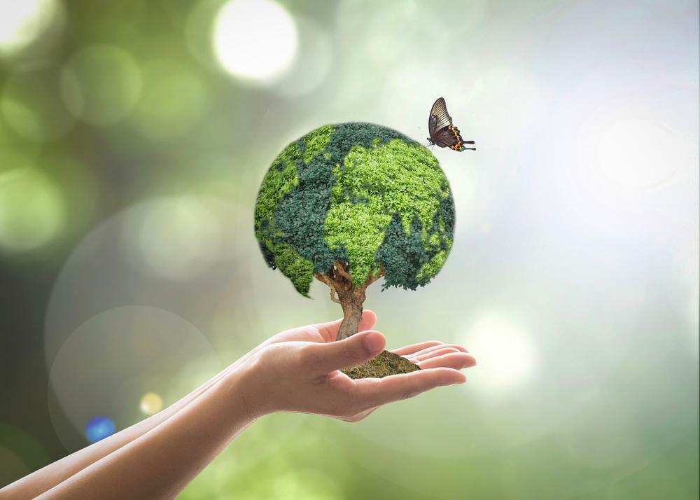 綠色消費例子，購買再生衛生紙支持企業承諾種樹