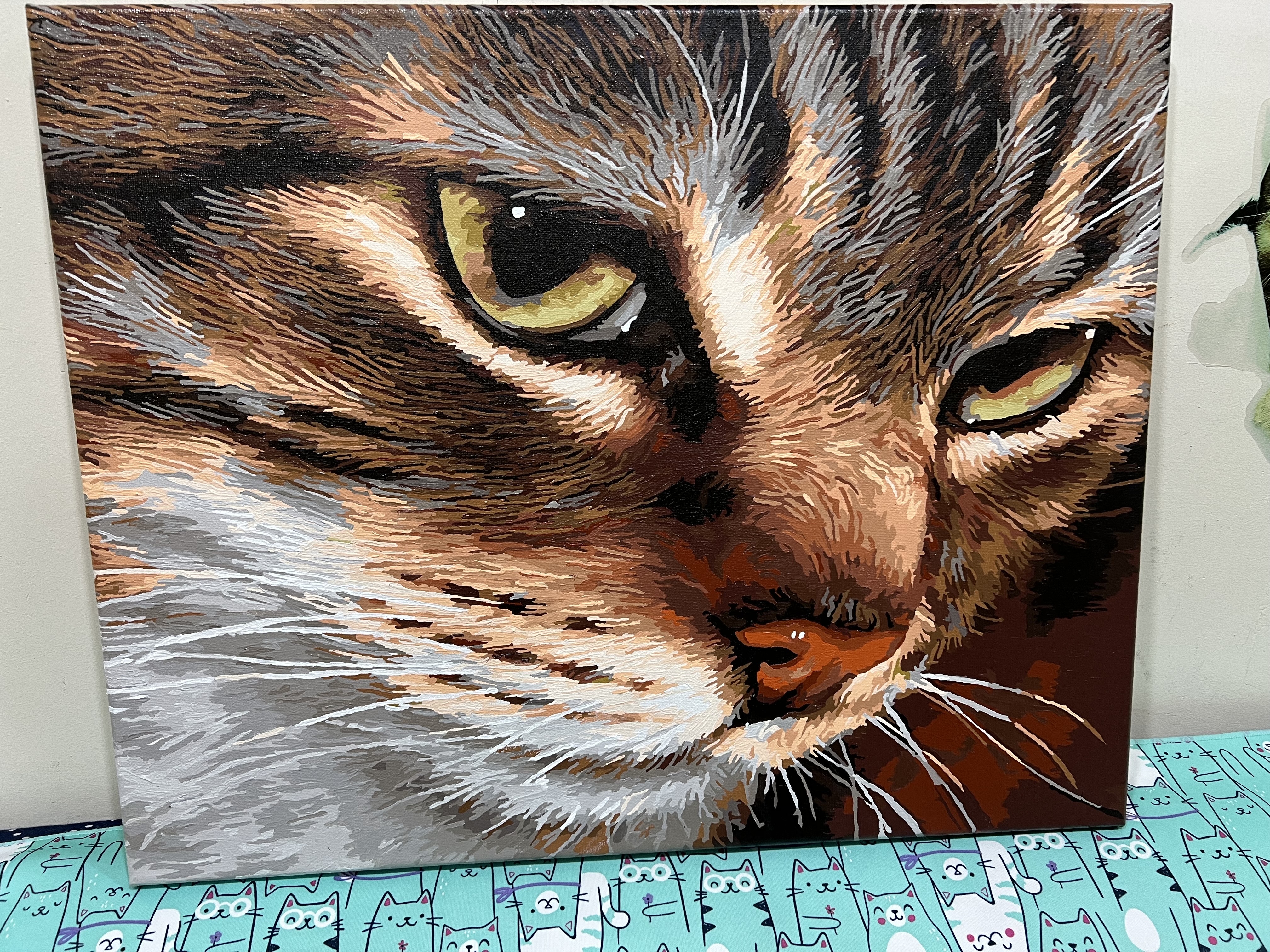 【DT143】神秘眼