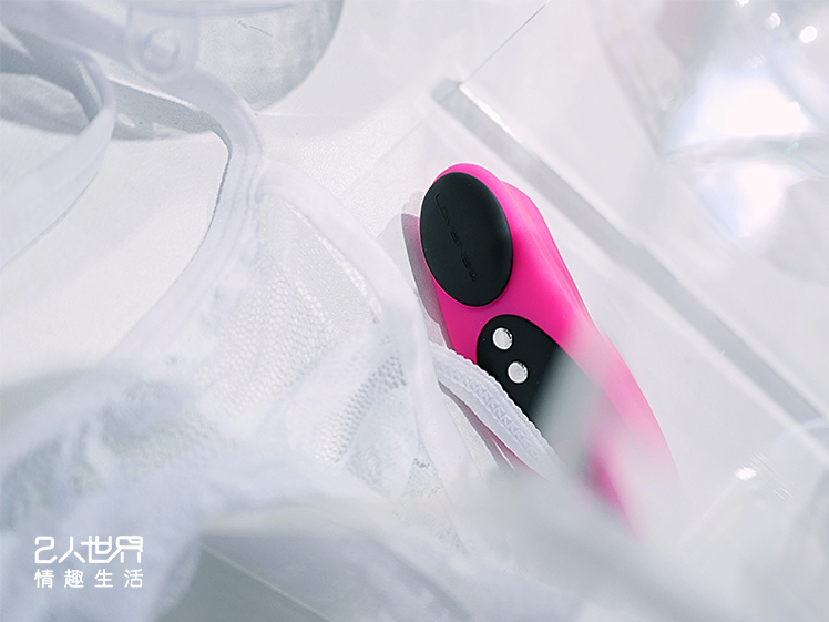 lovense ferri 防水 清洗