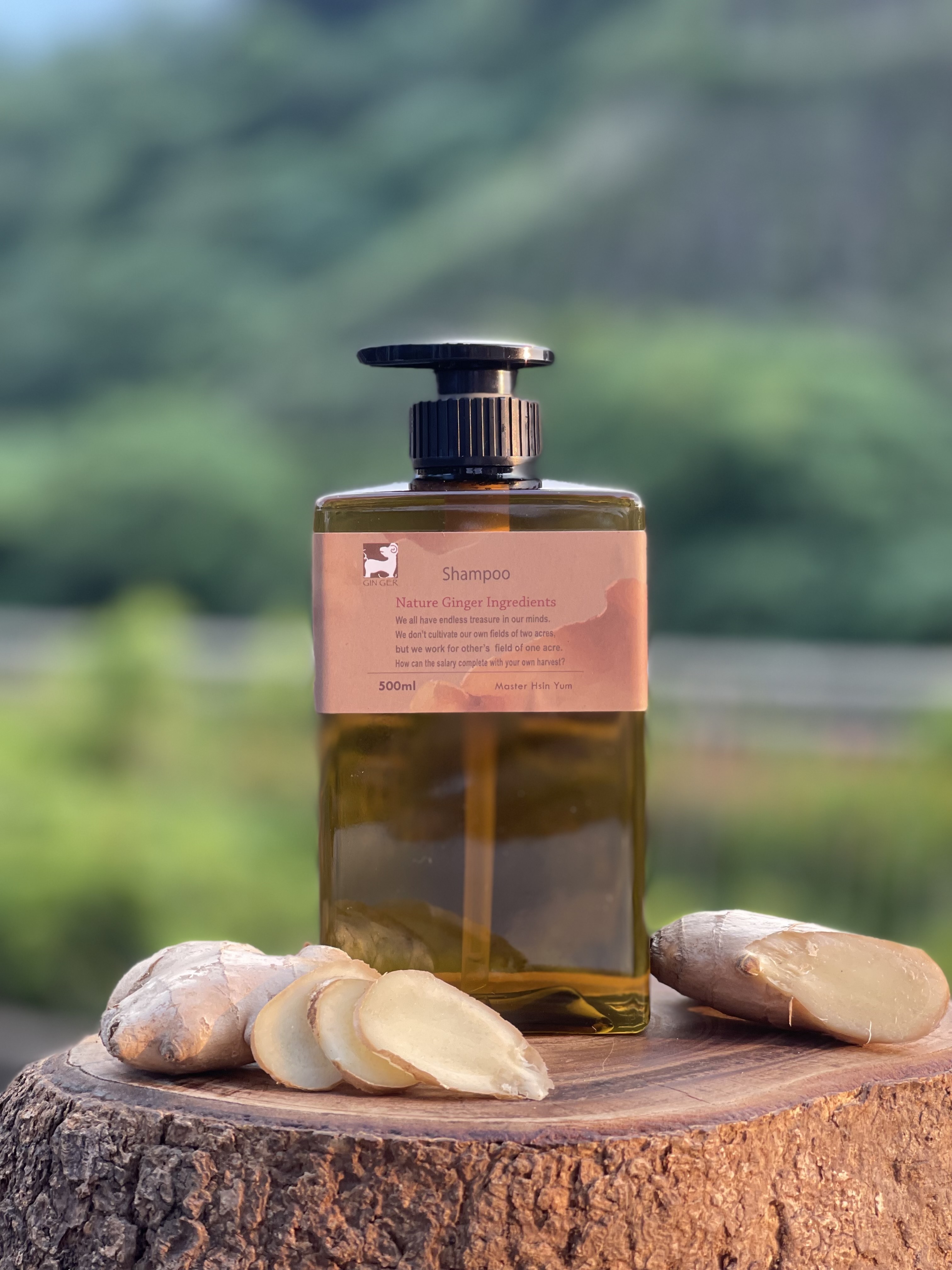 甜薑丹橘洗髮精 500ml