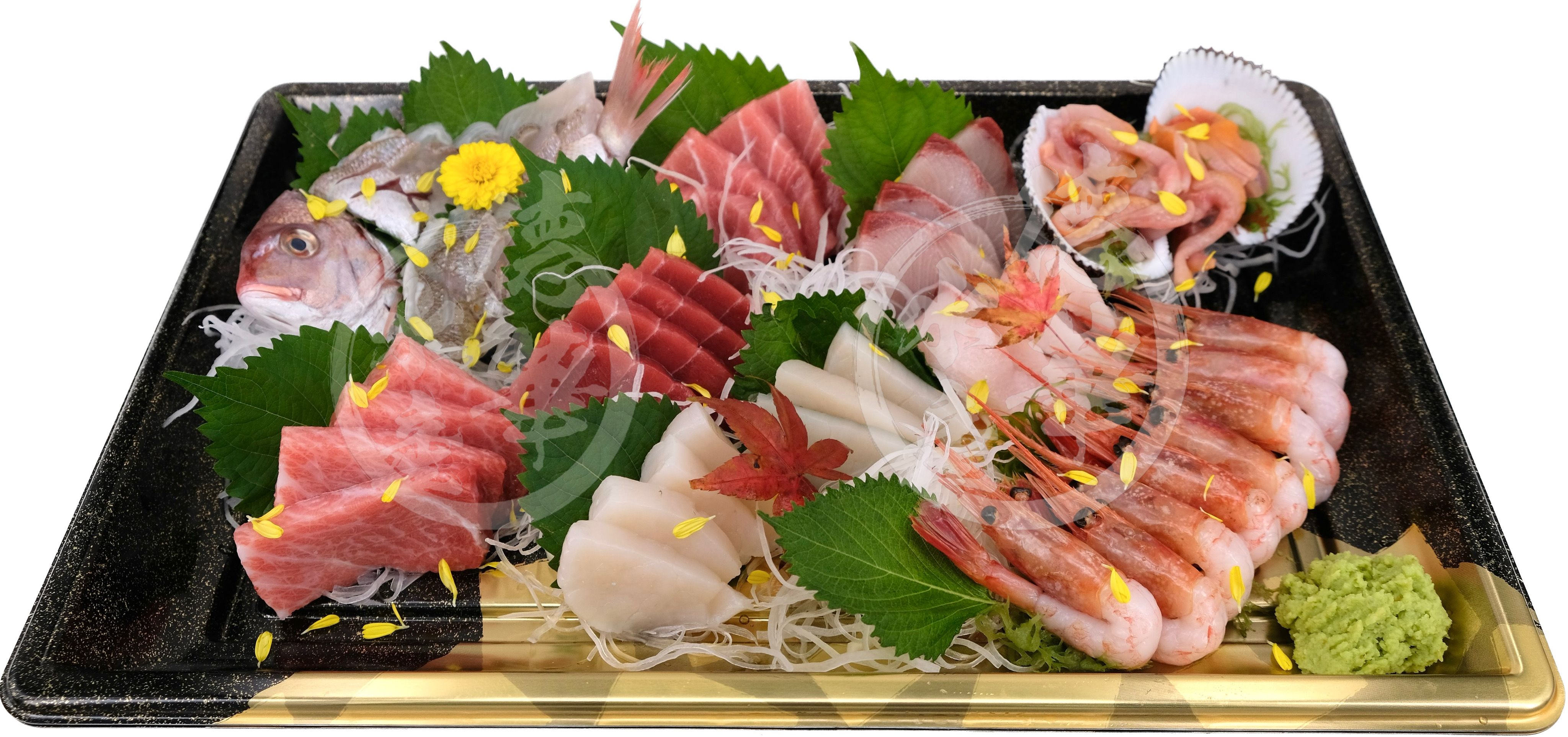 sashimi