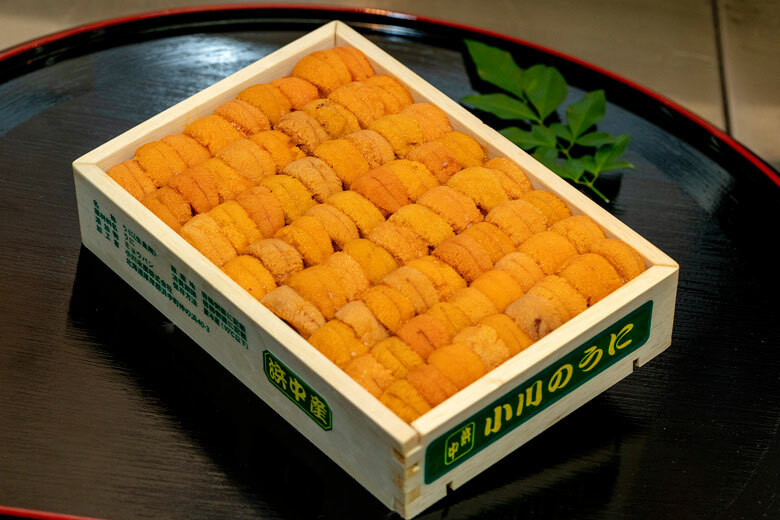 浜中小川 白/馬糞海膽（250g）