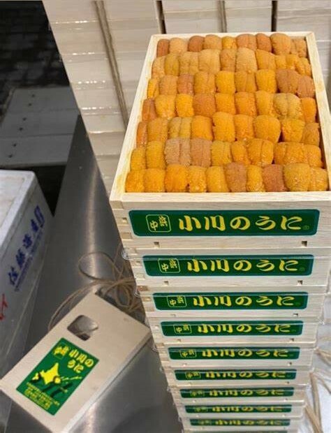 浜中小川 白/馬糞海膽（250g）