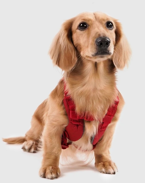 SPUTNIK - 寵物胸背帶 Harness 紅