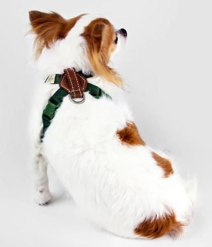 SPUTNIK - 寵物胸背帶 Harness 綠