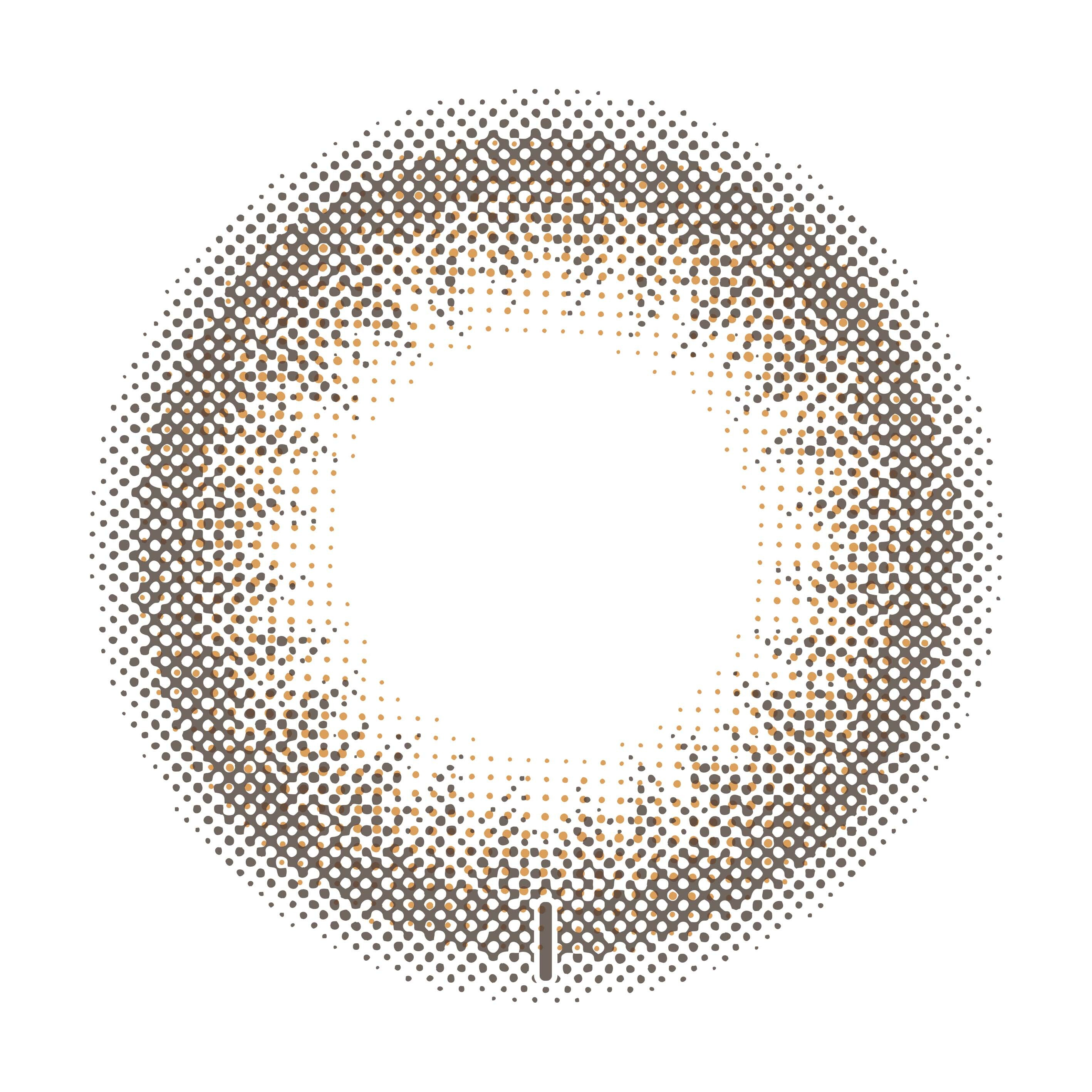 TOPARDS TORIC Color Contact Lenses 日本TOPARDS彩色隱形眼鏡(自然裸眼風)(散光)(1DAY)(10片裝)(No.2 Opal)