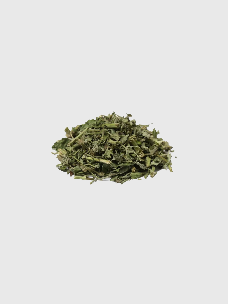 【Catfeet】茨木草｜特級貓薄荷 銀罐 大 230ml