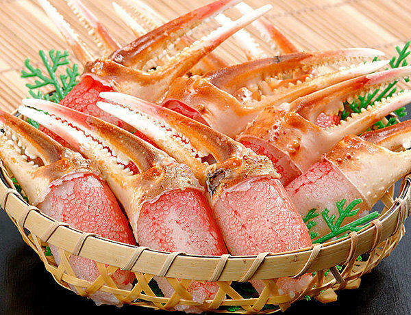 日本急凍松葉蟹鉗 ( 500g )
