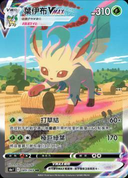 S6aF 089/069 葉伊布VMAX