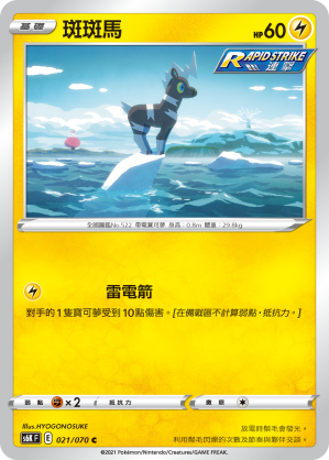 S6KF 021/070 斑斑馬