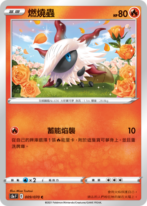 S5aF 009/070 燃燒蟲