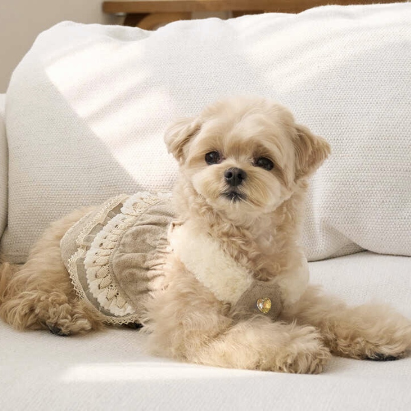 Cancan羊毛吊帶層裙 -Beige-卡其-It’s sunny outside