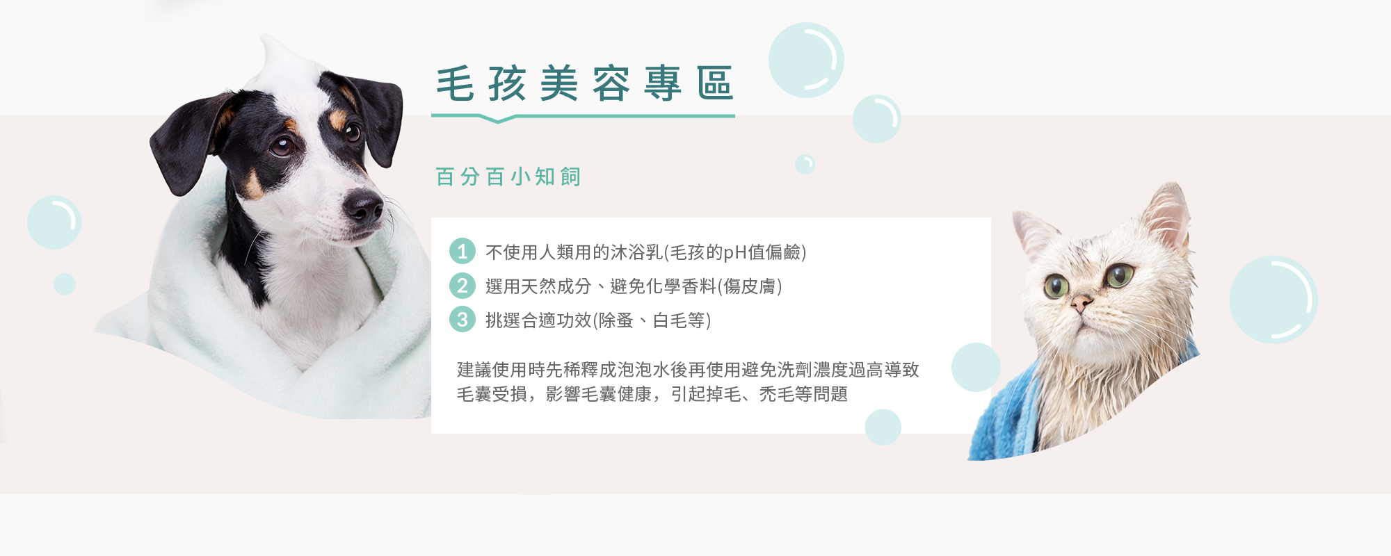 毛孩美容清潔專區