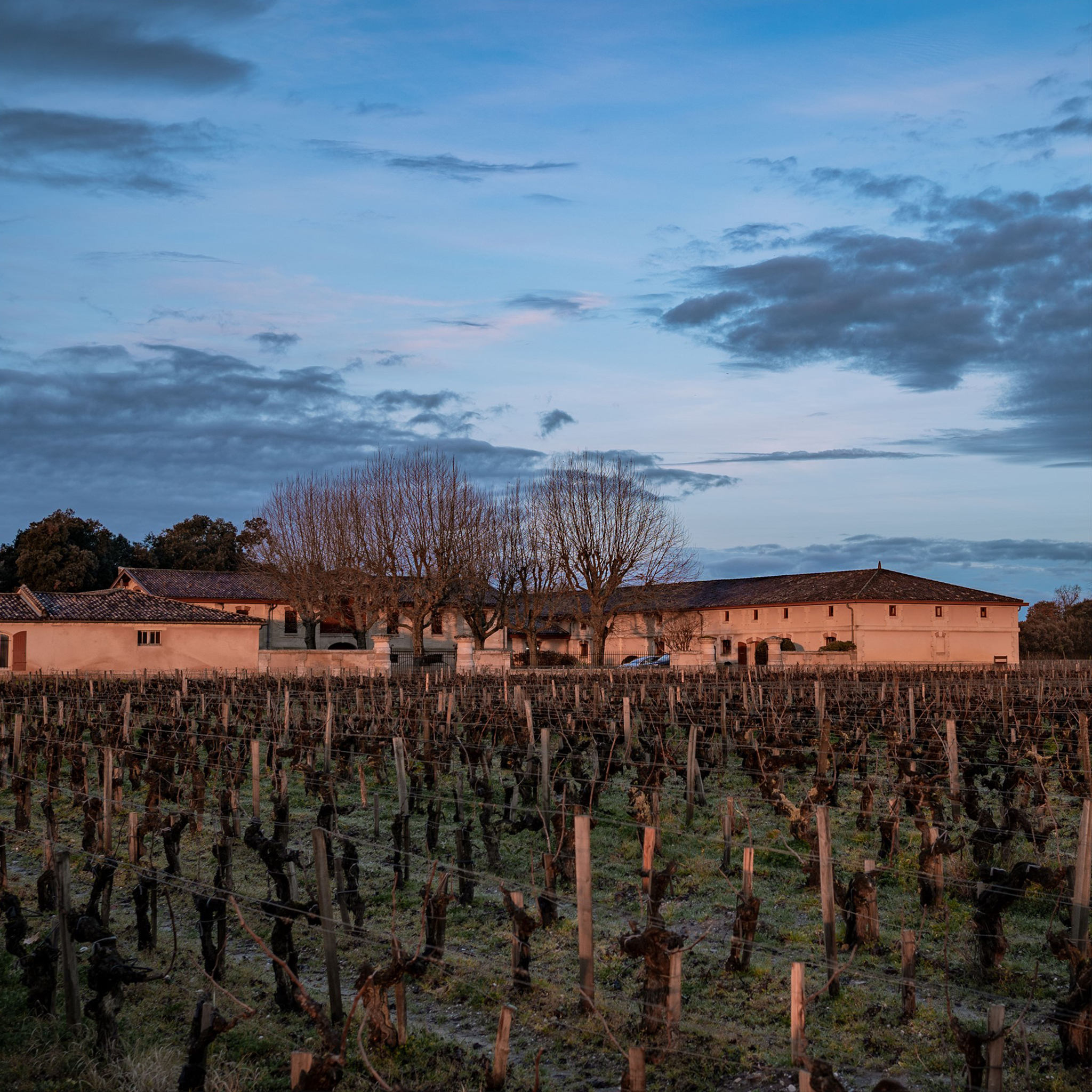 Cantenac Brown, 肯得布朗, 梅多克1855三級莊, Margaux, 瑪歌三級莊, Tristan Le Lous, Jose Sanfins, Axa-Millésimes, Simon Halabi, Pichon Baron