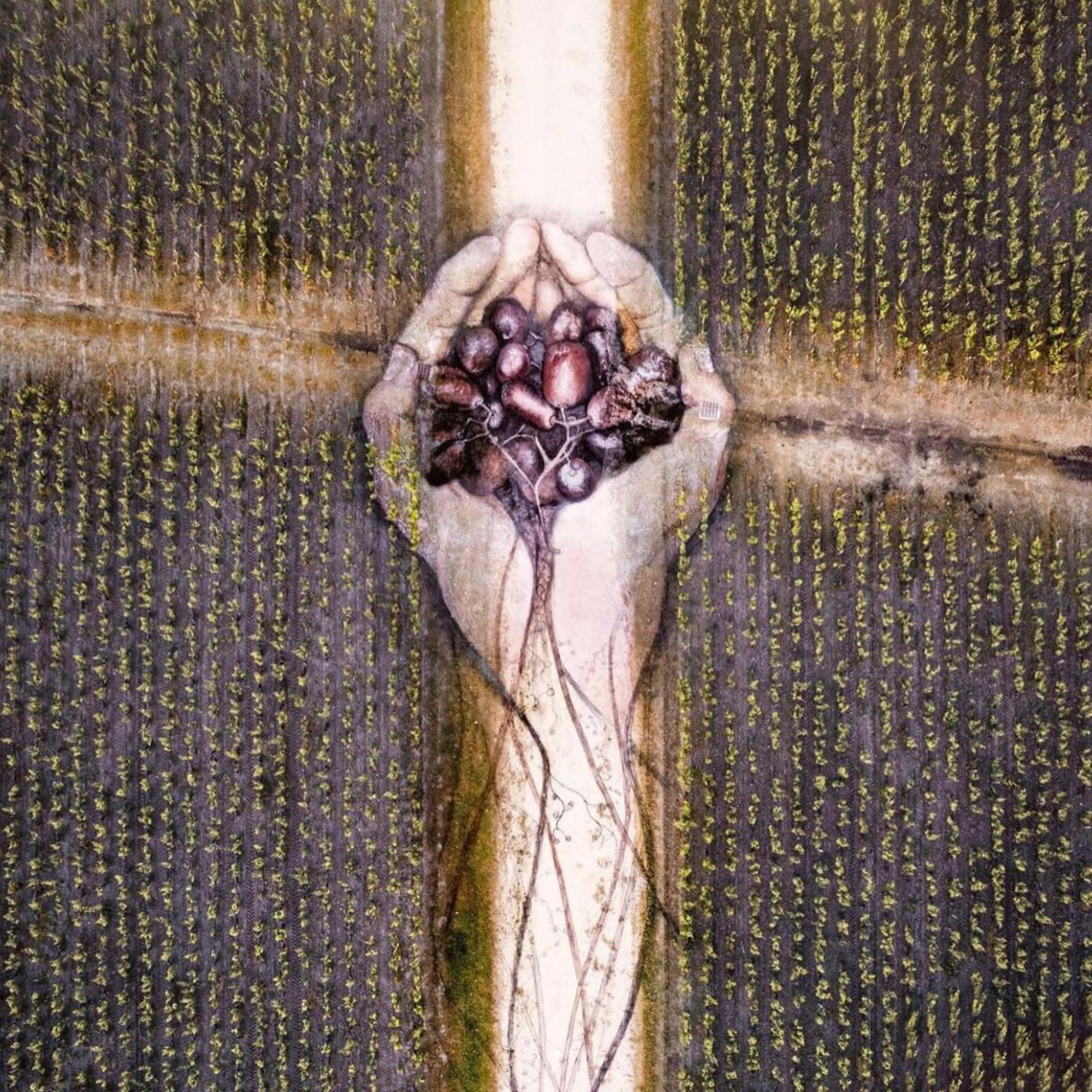 Cantenac Brown, 肯得布朗, 梅多克1855三級莊, Margaux, 瑪歌三級莊, Tristan Le Lous, Jose Sanfins, Axa-Millésimes, Simon Halabi, Pichon Baron