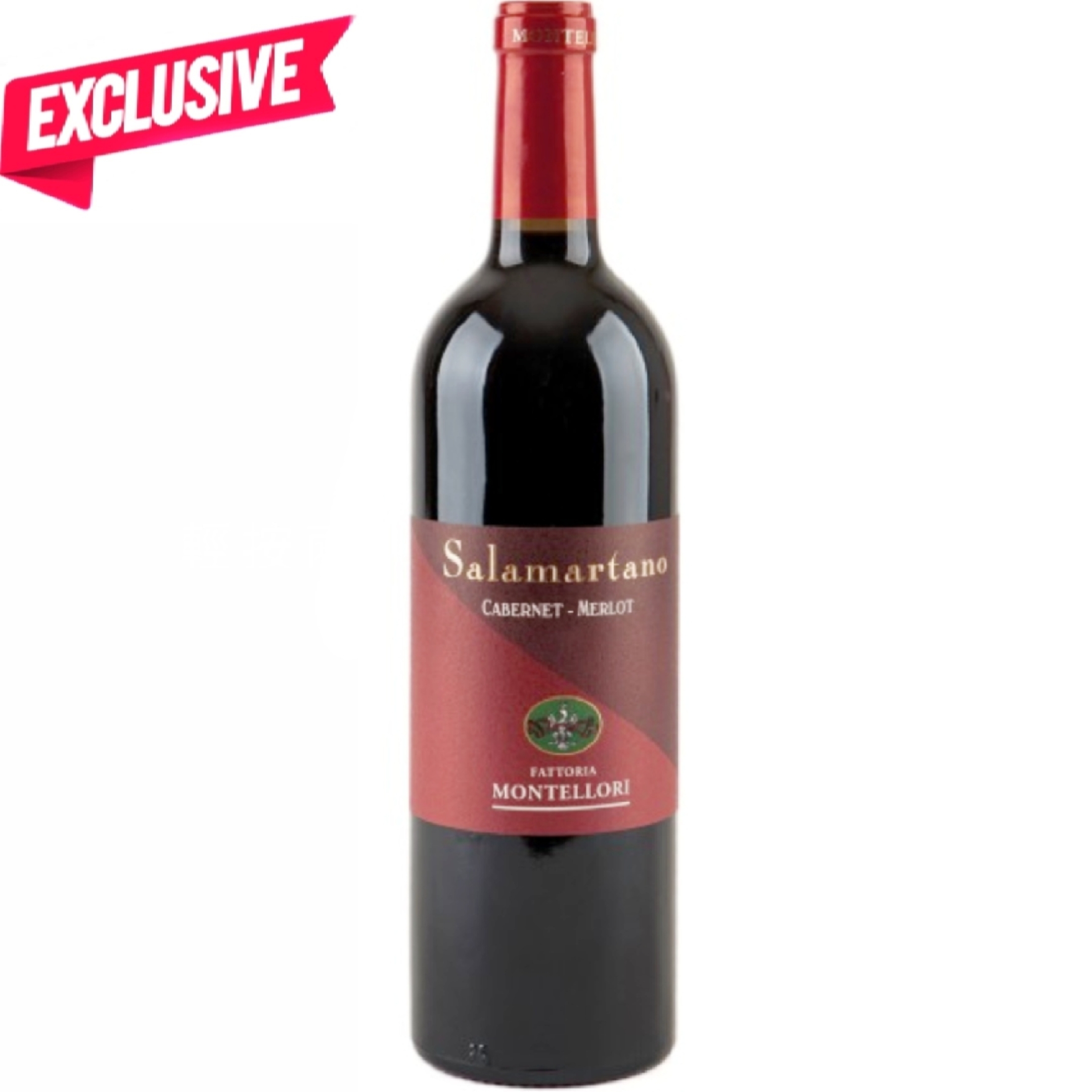 2009 Fattoria Montellori Salamartano