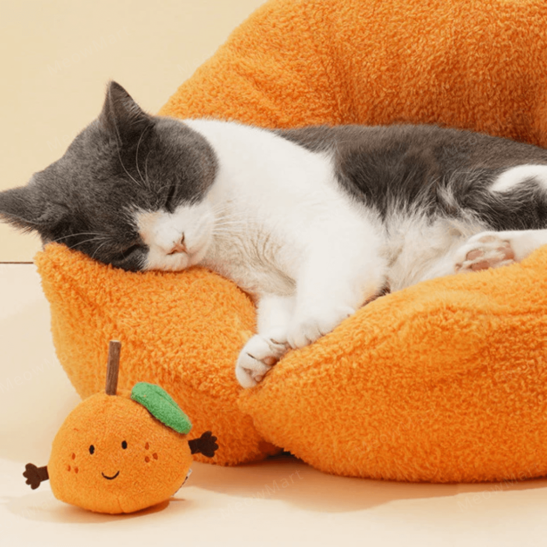 【限定8折】柑桔抱抱保暖貓窩