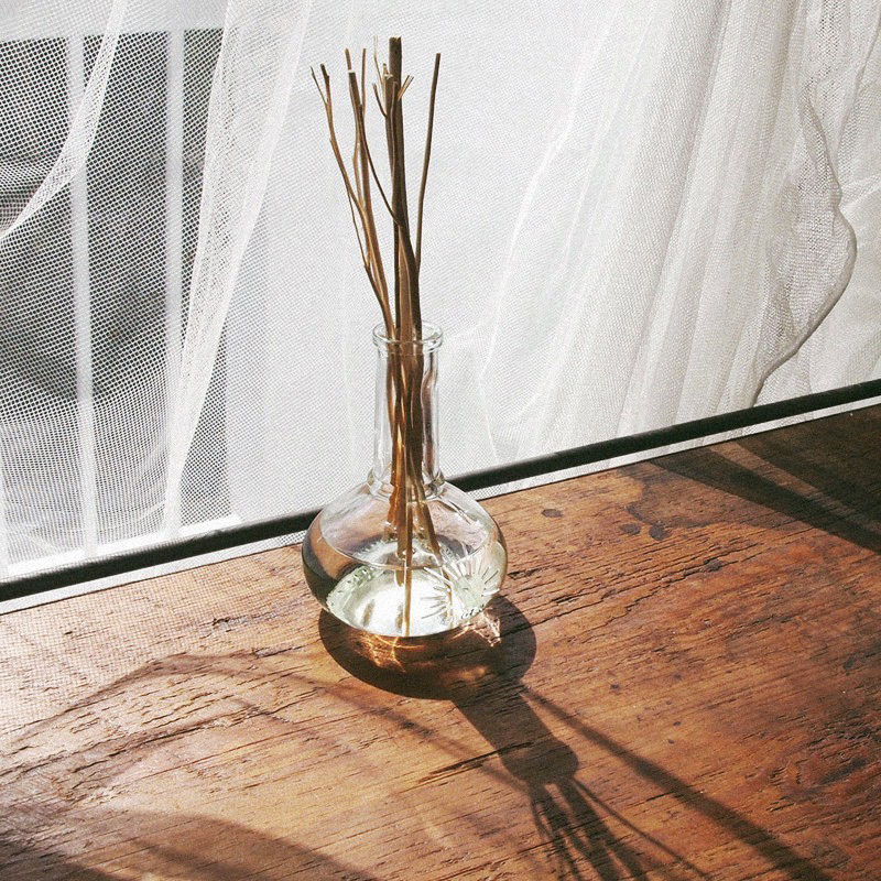 a day 經典蘆葦擴香 ‹ 100ml › ╭ 5款 ╮