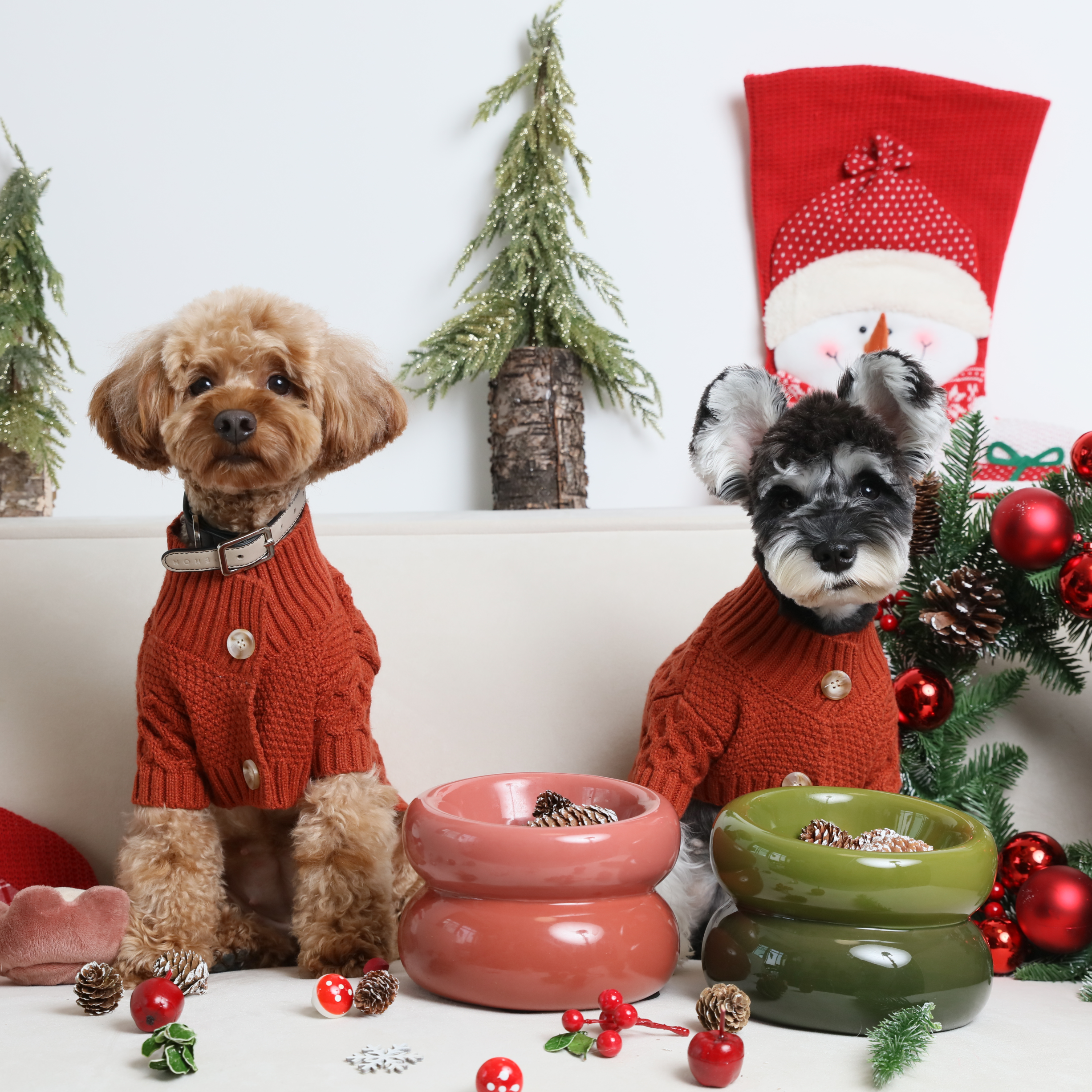 PEHOM｜毛孩吃得比我好！寵物米其林級食材有哪些？｜