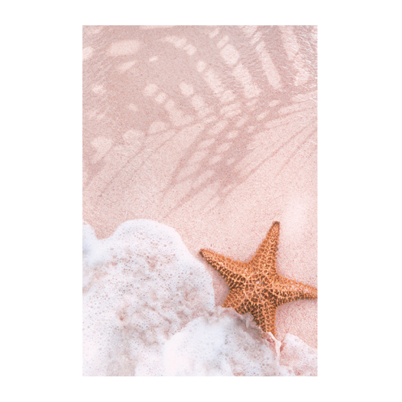 夢想海灘無框掛畫(福利品)