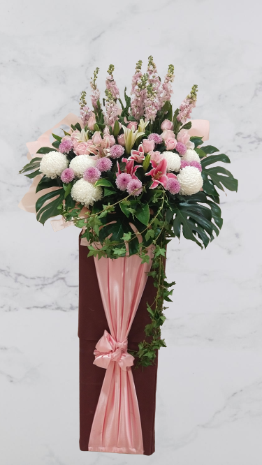 Grand Opening - GO31