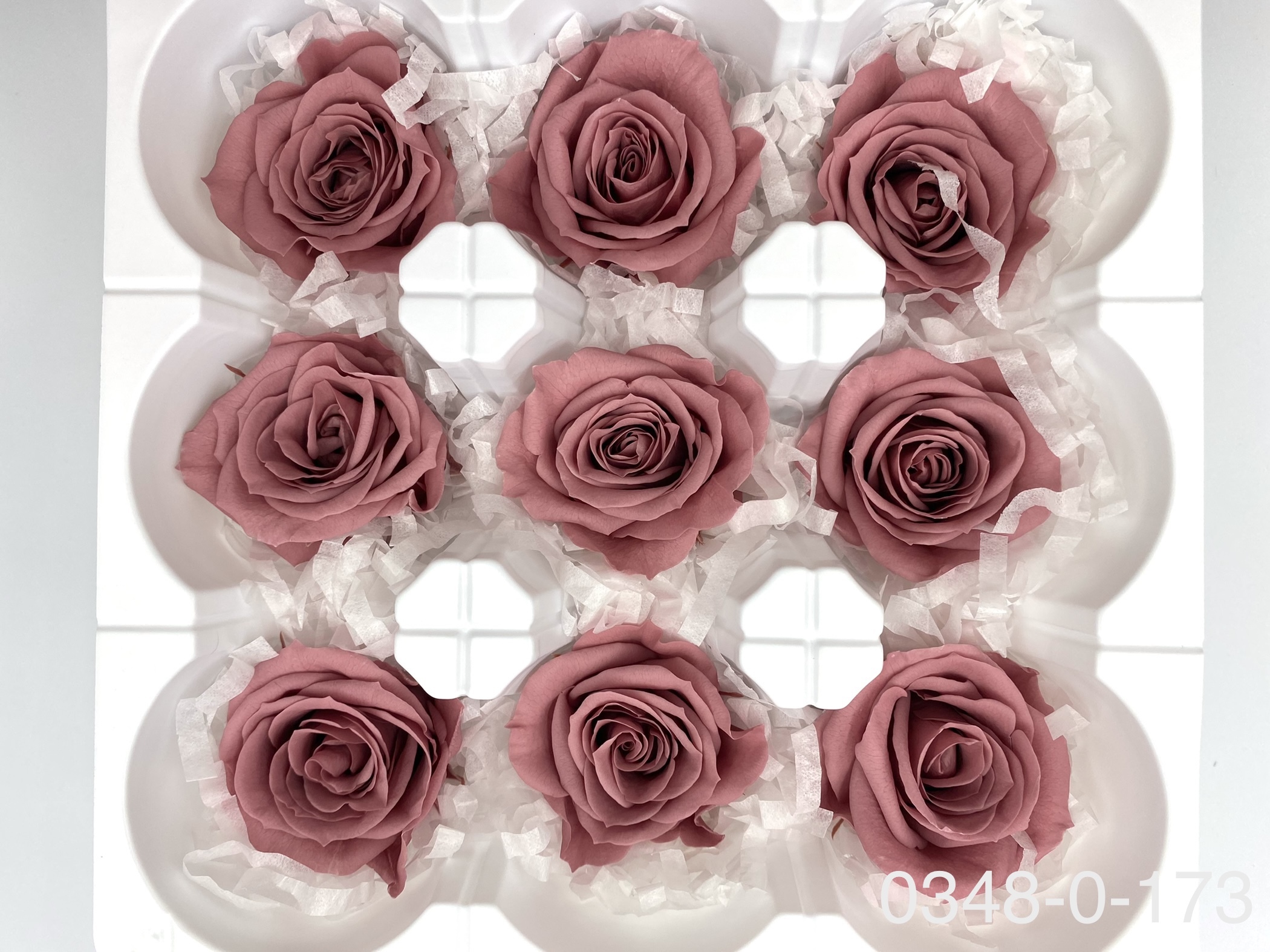 日本不凋中輪玫瑰(9朵) 03480-173