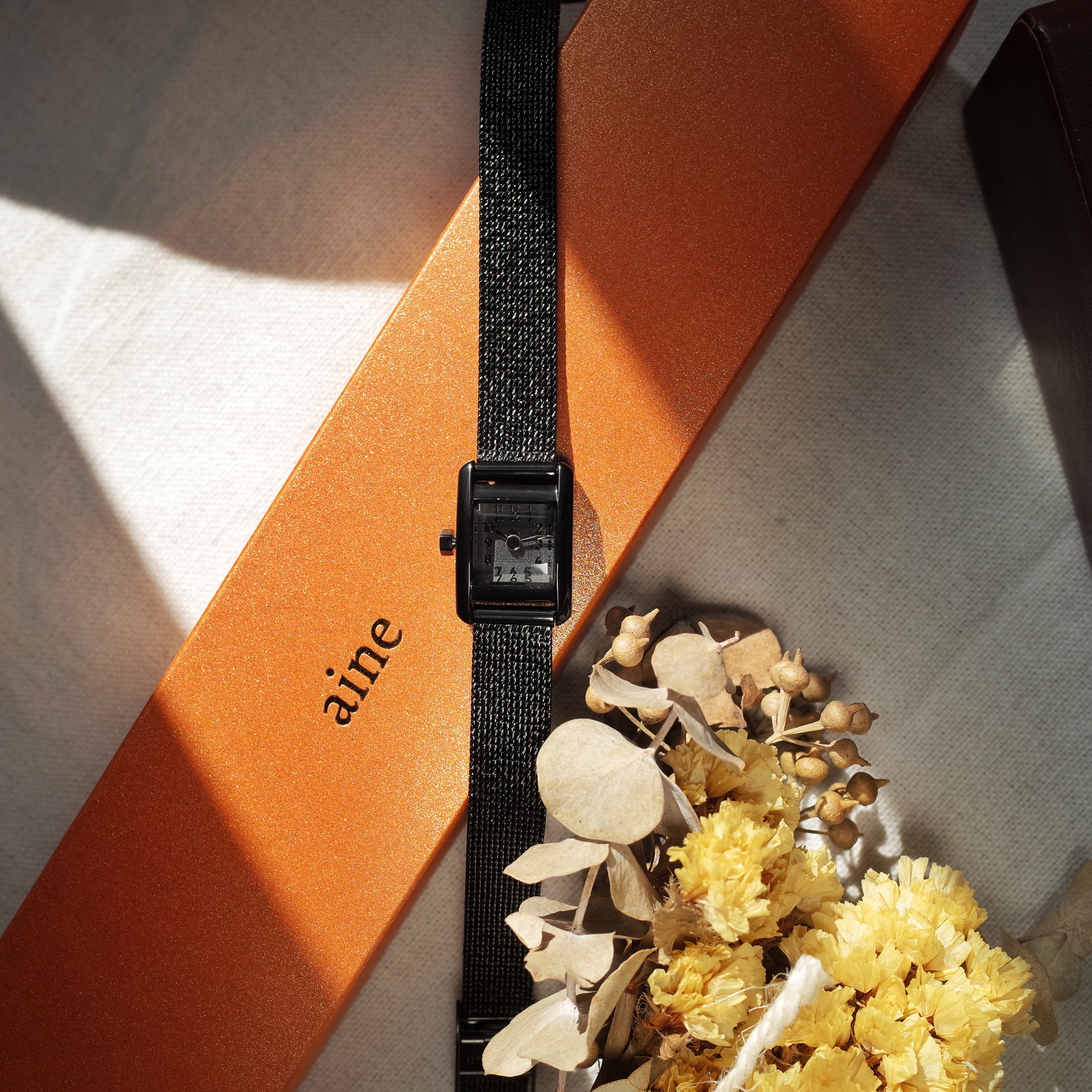 aine Ladies Quartz Watch Night in Black