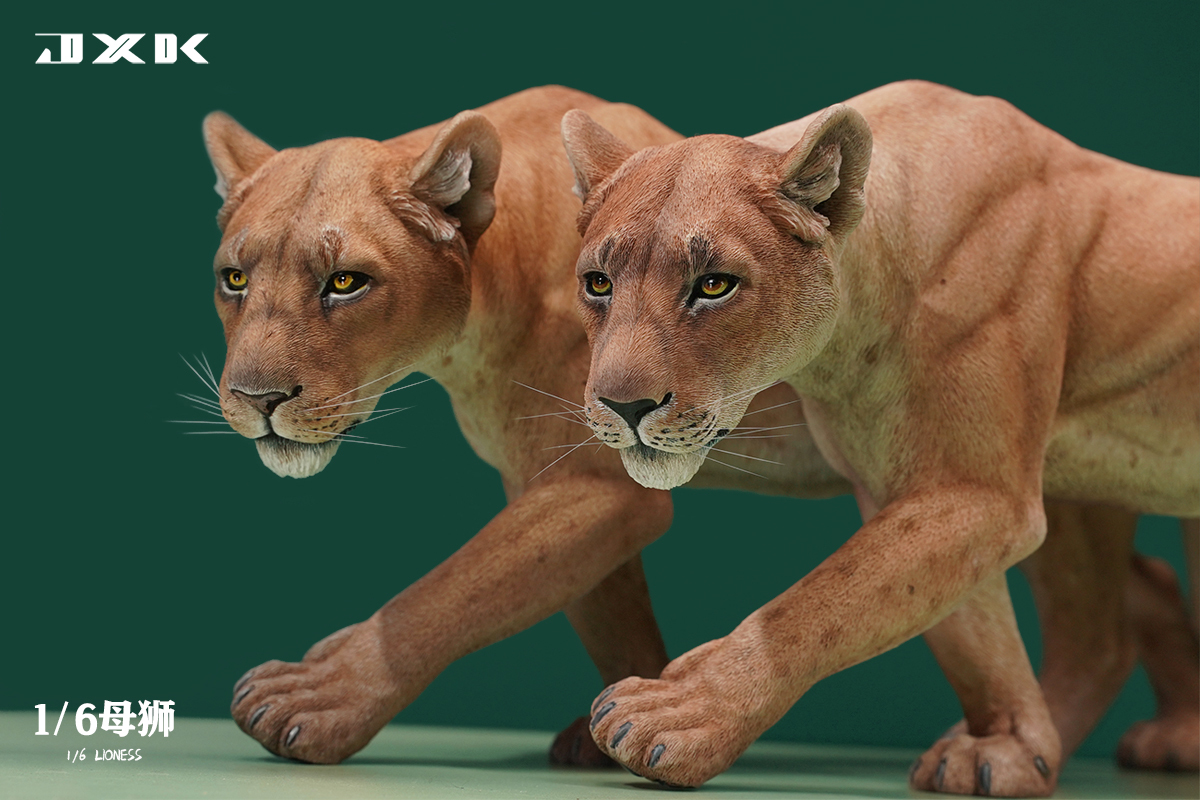 JXK Studio : 1/6 母獅 (自選)