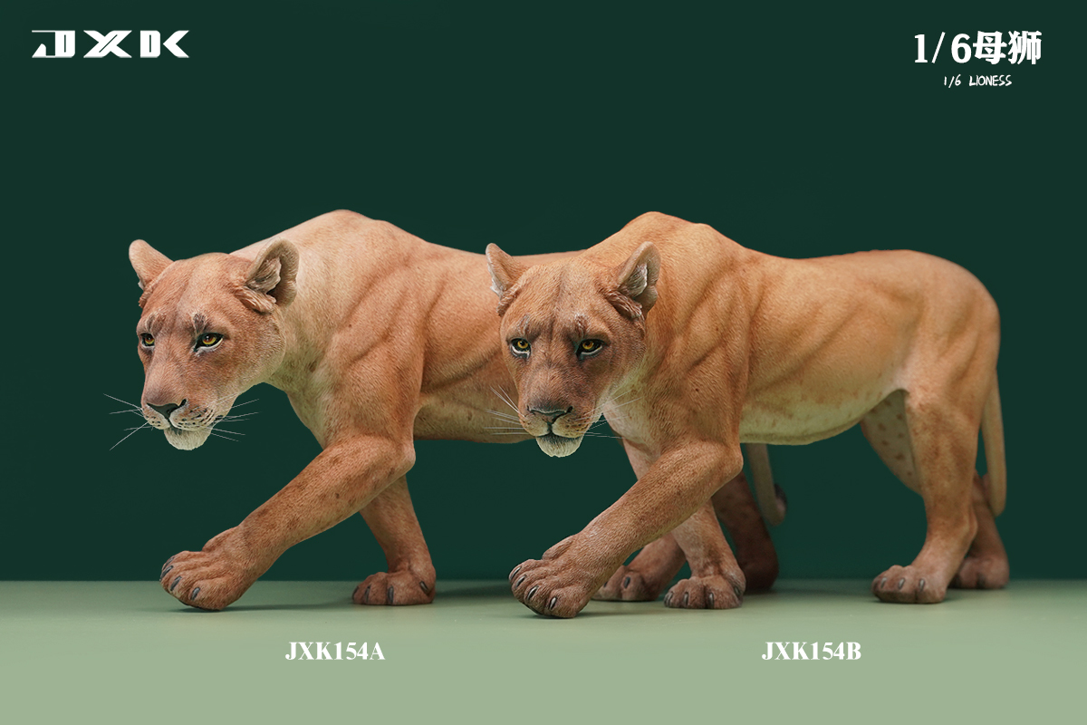 JXK Studio : 1/6 母獅 (自選)