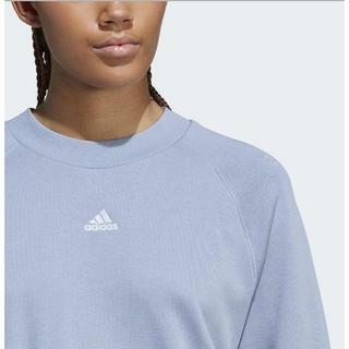 ADIDAS BLUV Q1 SWT 女 長袖上衣 藍 IC5716 DECLU