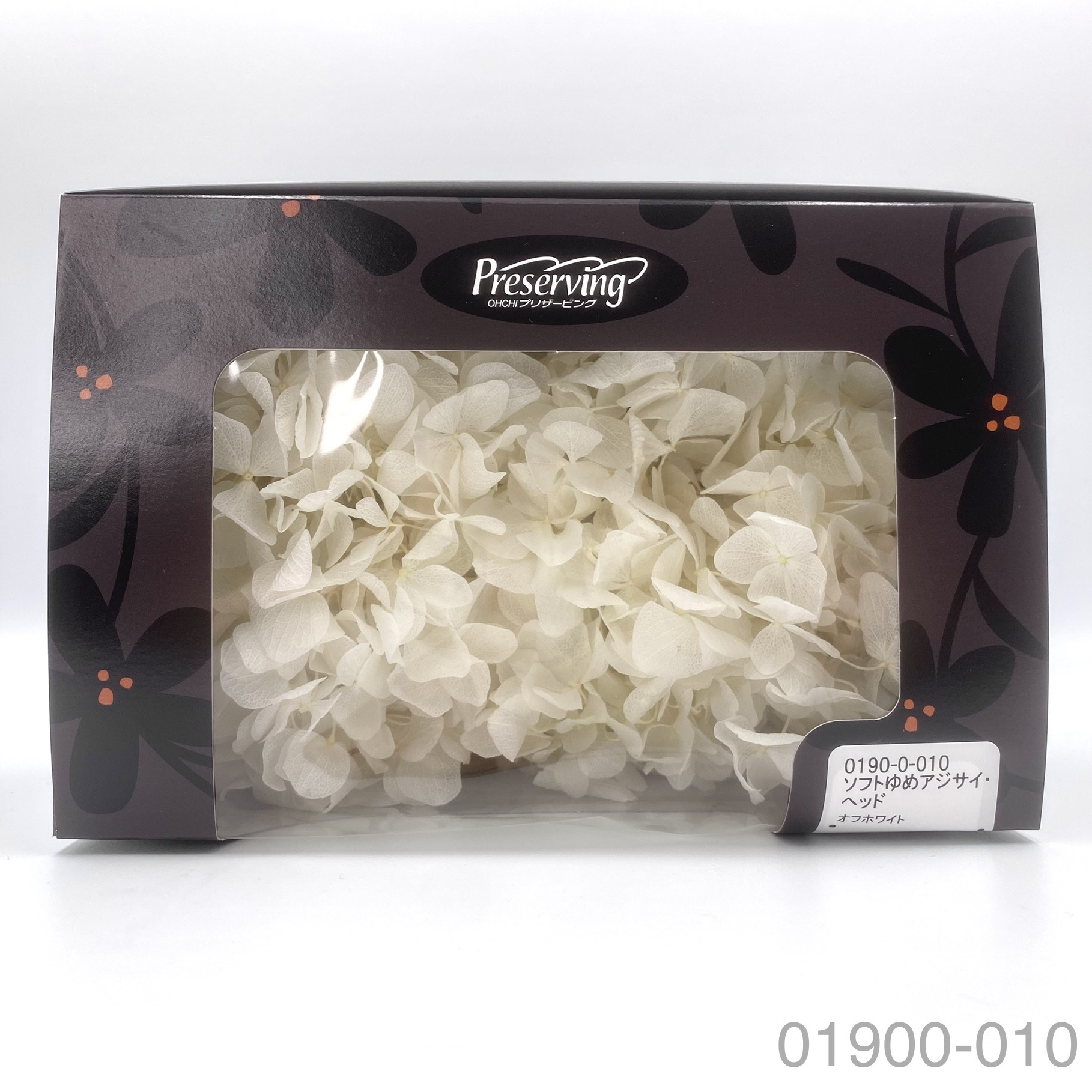 不凋大葉繡球 01900-010