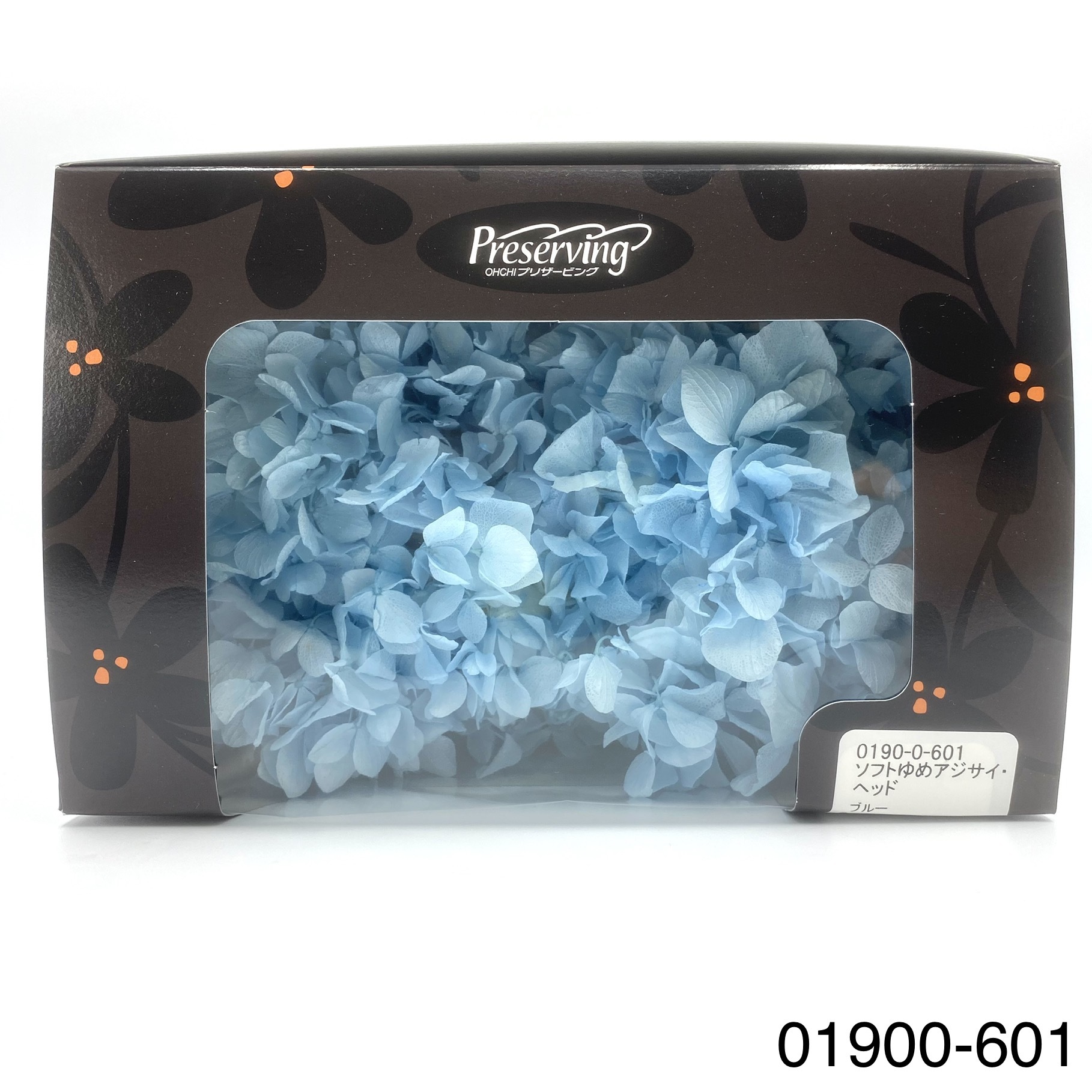 日本不凋大葉繡球01900-601