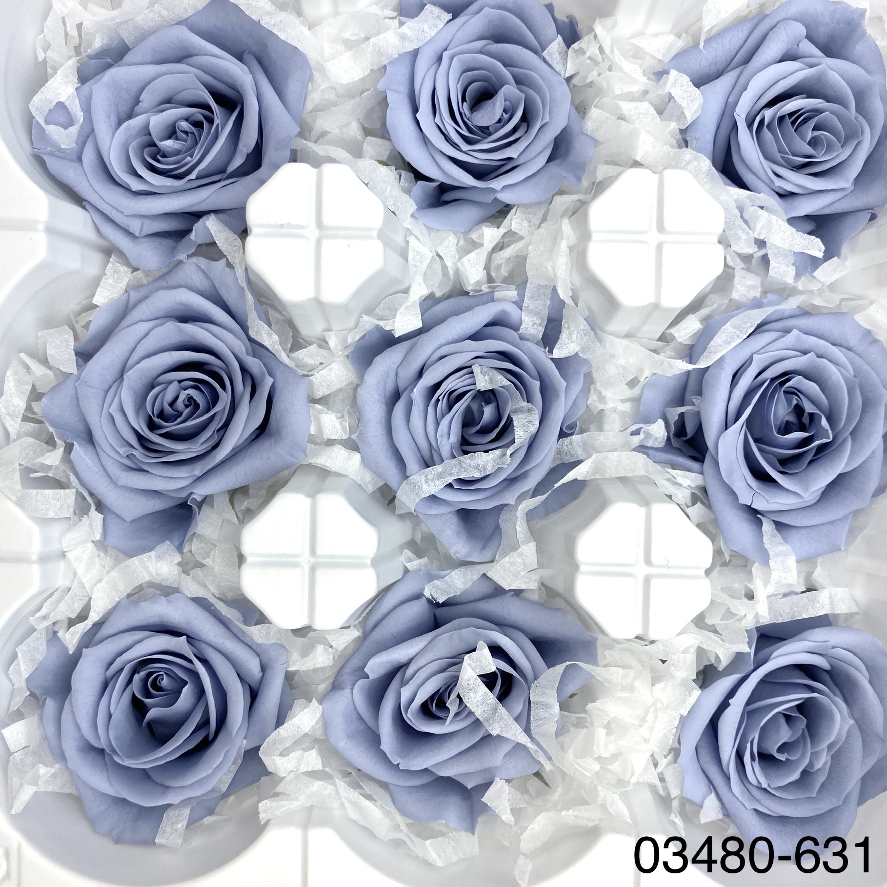 日本不凋中輪玫瑰(9朵) 03480-631