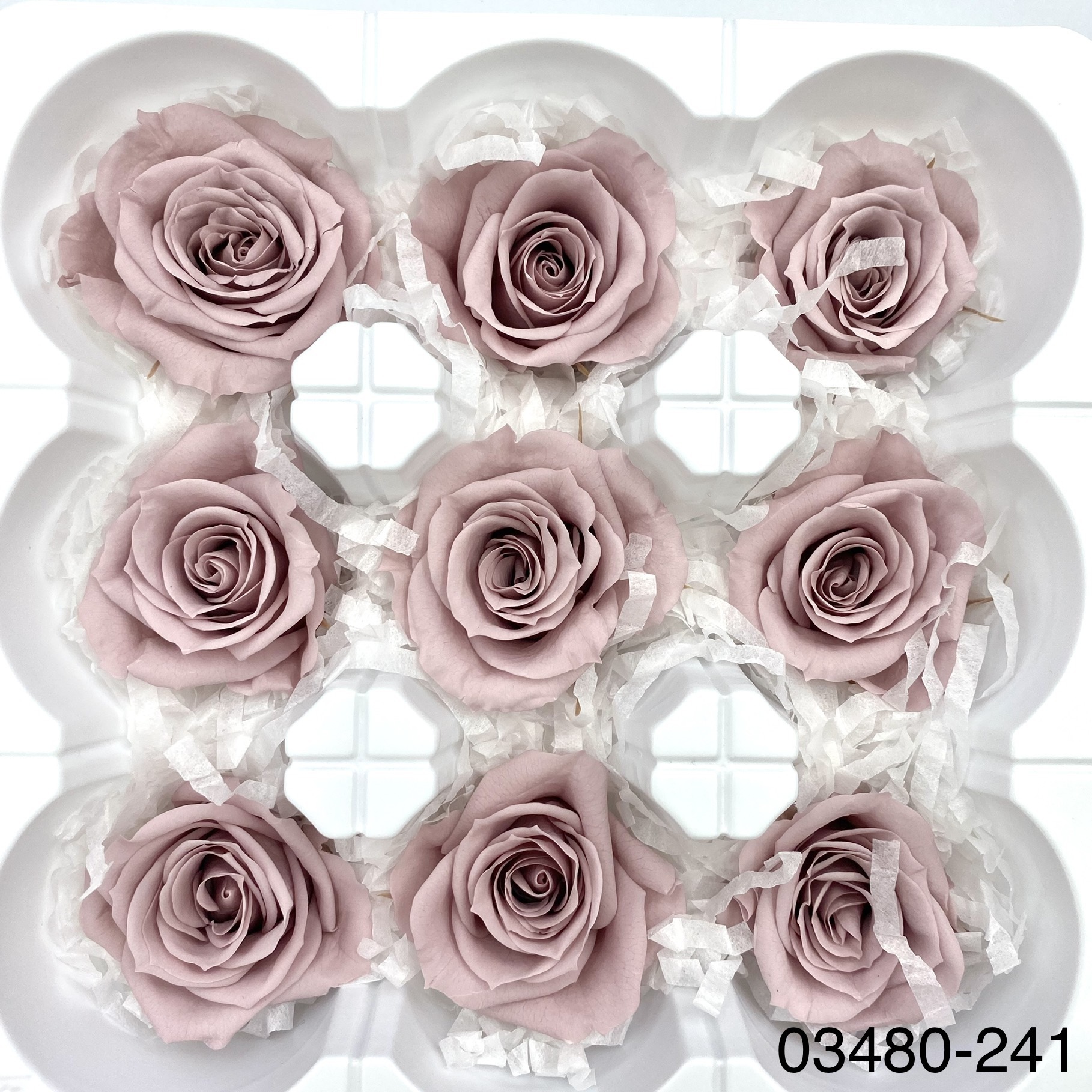 日本不凋中輪玫瑰(9朵) 03480-241