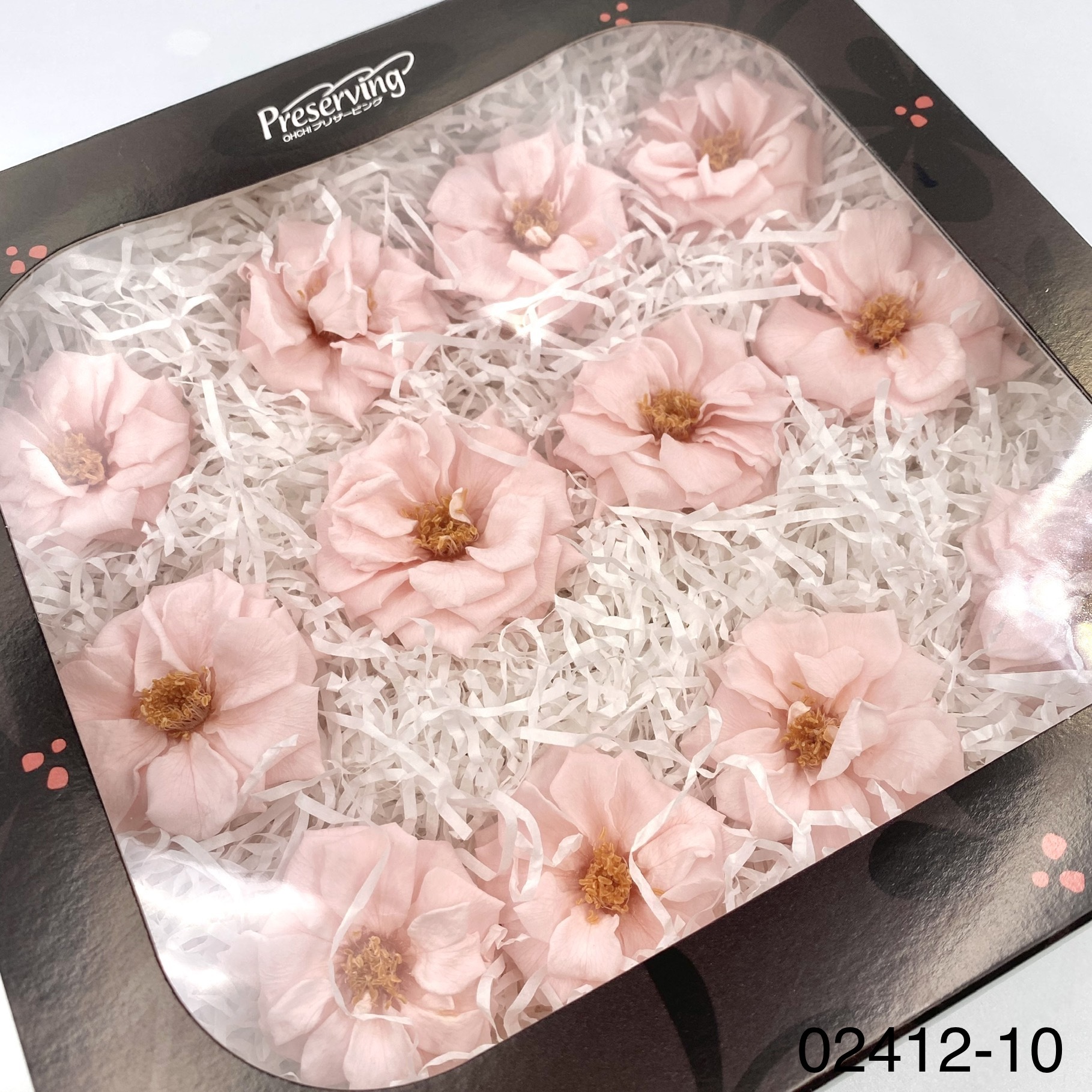 日本不凋薔薇玫瑰 02412-101