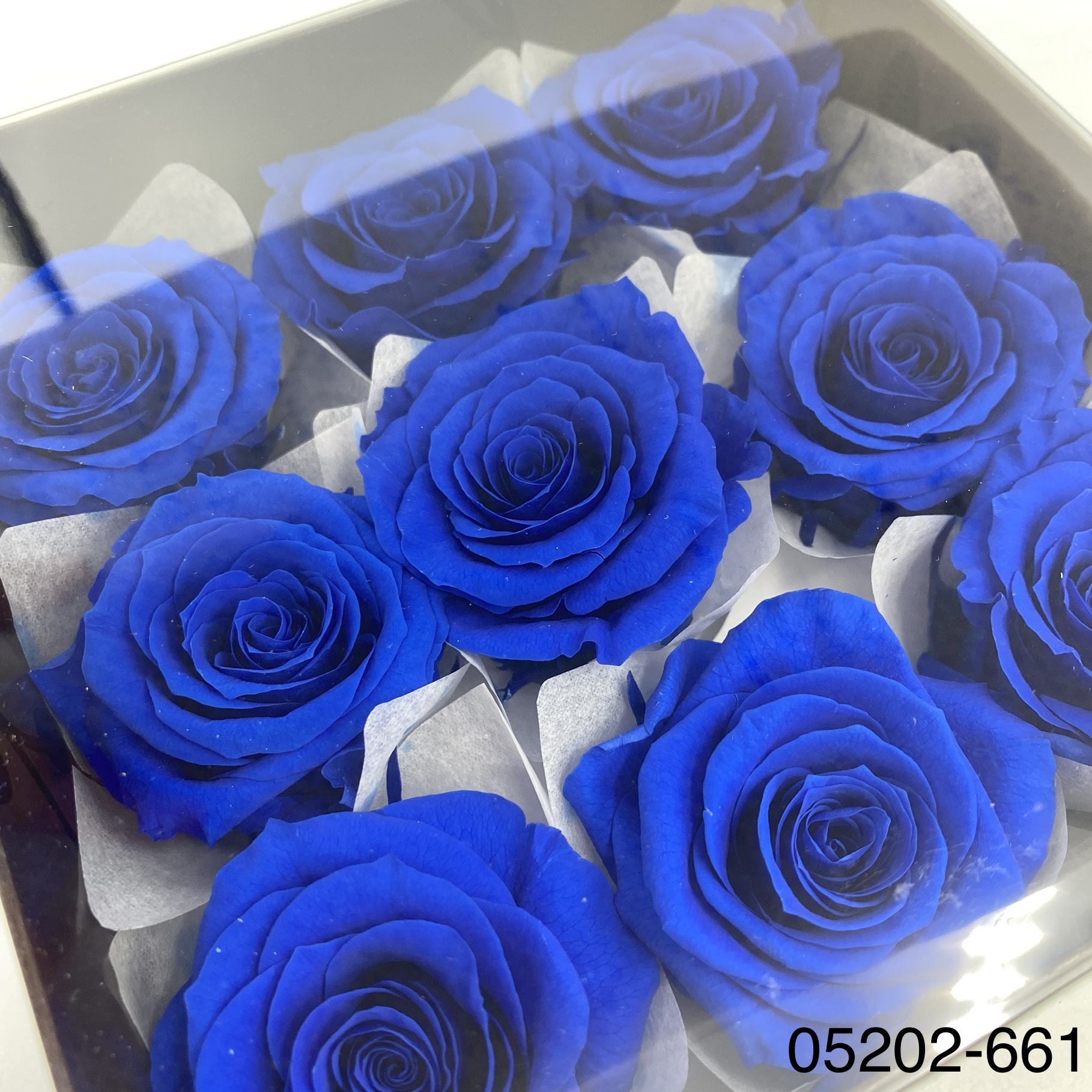 日本不凋大輪玫瑰(M-9朵) 05202-661
