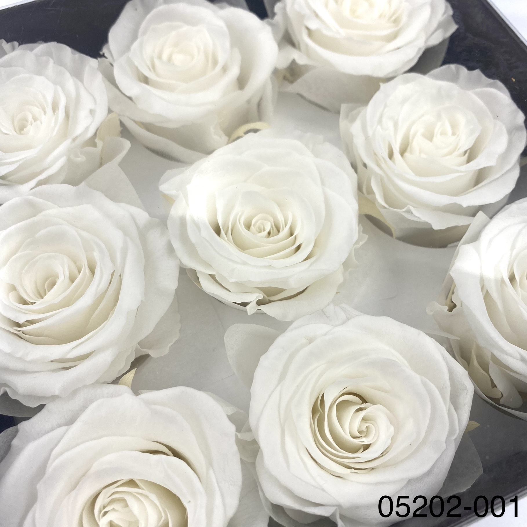 日本不凋大輪玫瑰(M-9朵) 05202-001