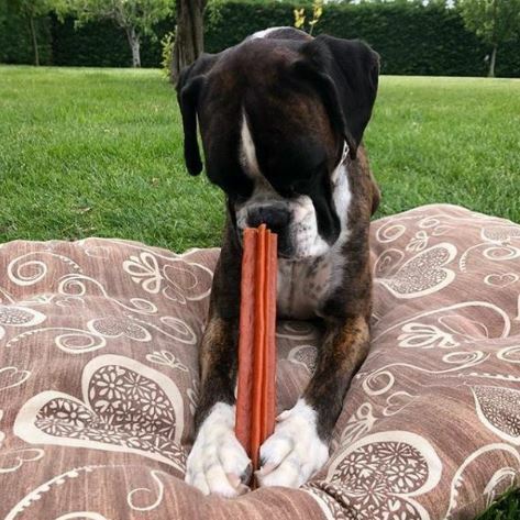 WHIMZEES 唯潔- 六角長條型