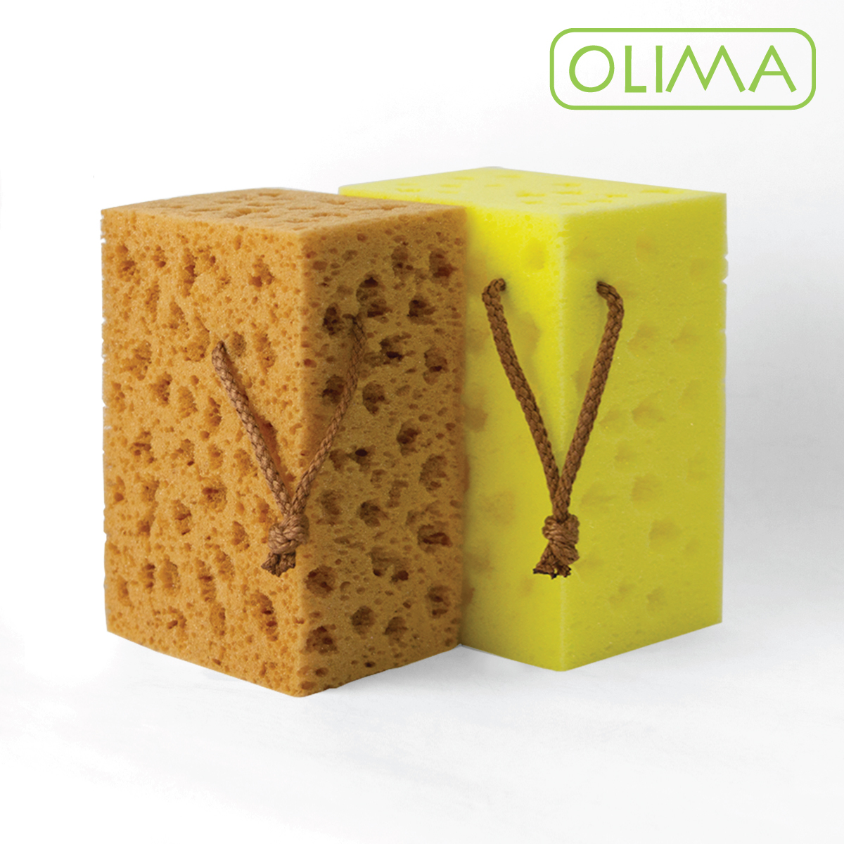 OLIMA 海綿 超彈力款