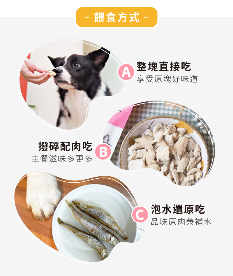 凍乾零食三種餵食方式