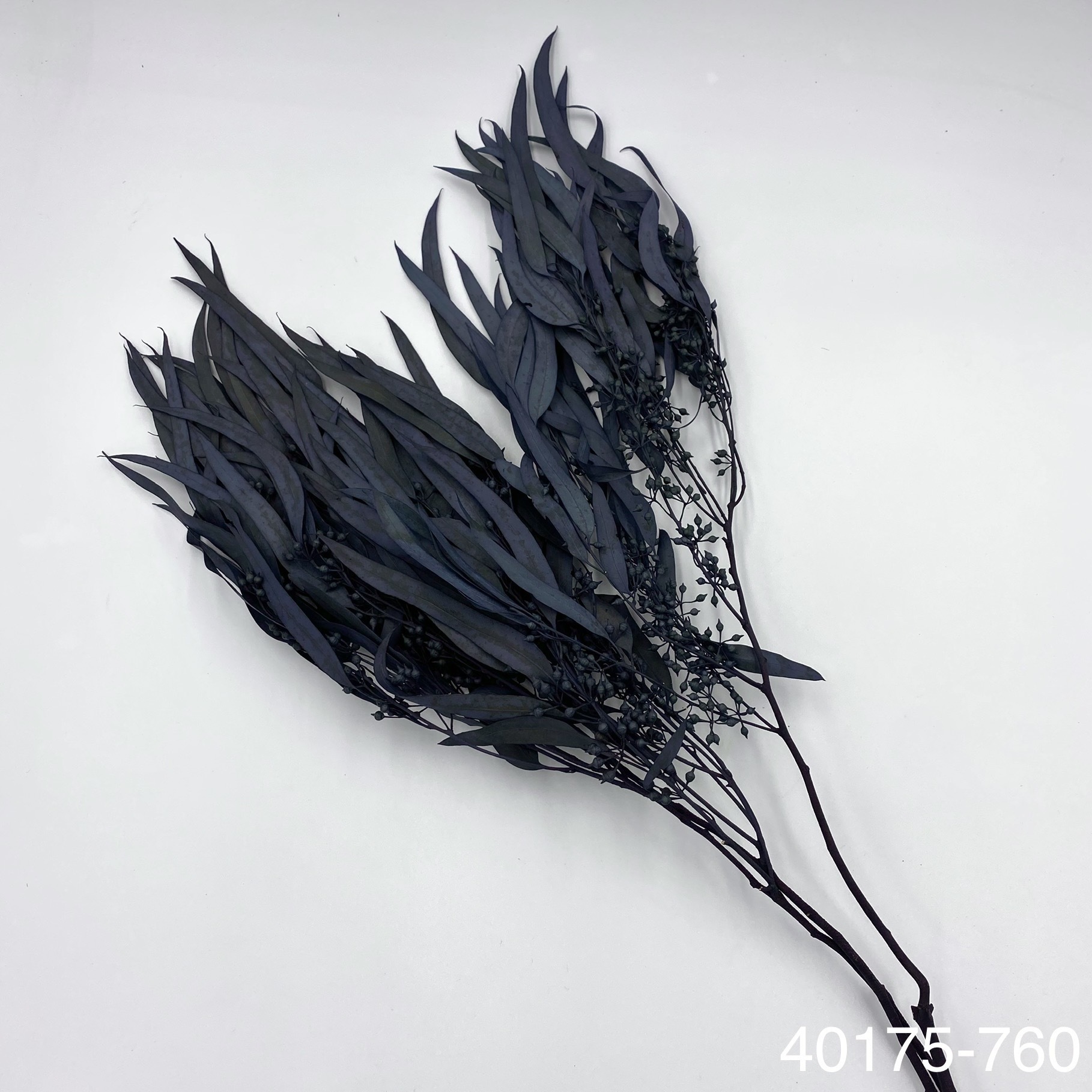 不凋柳葉 40175-760