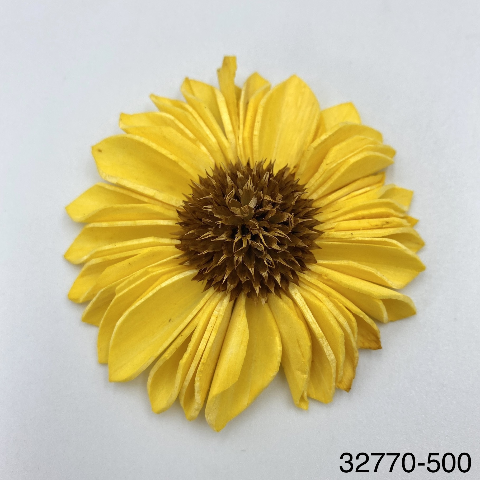 32770-500 索拉向日葵