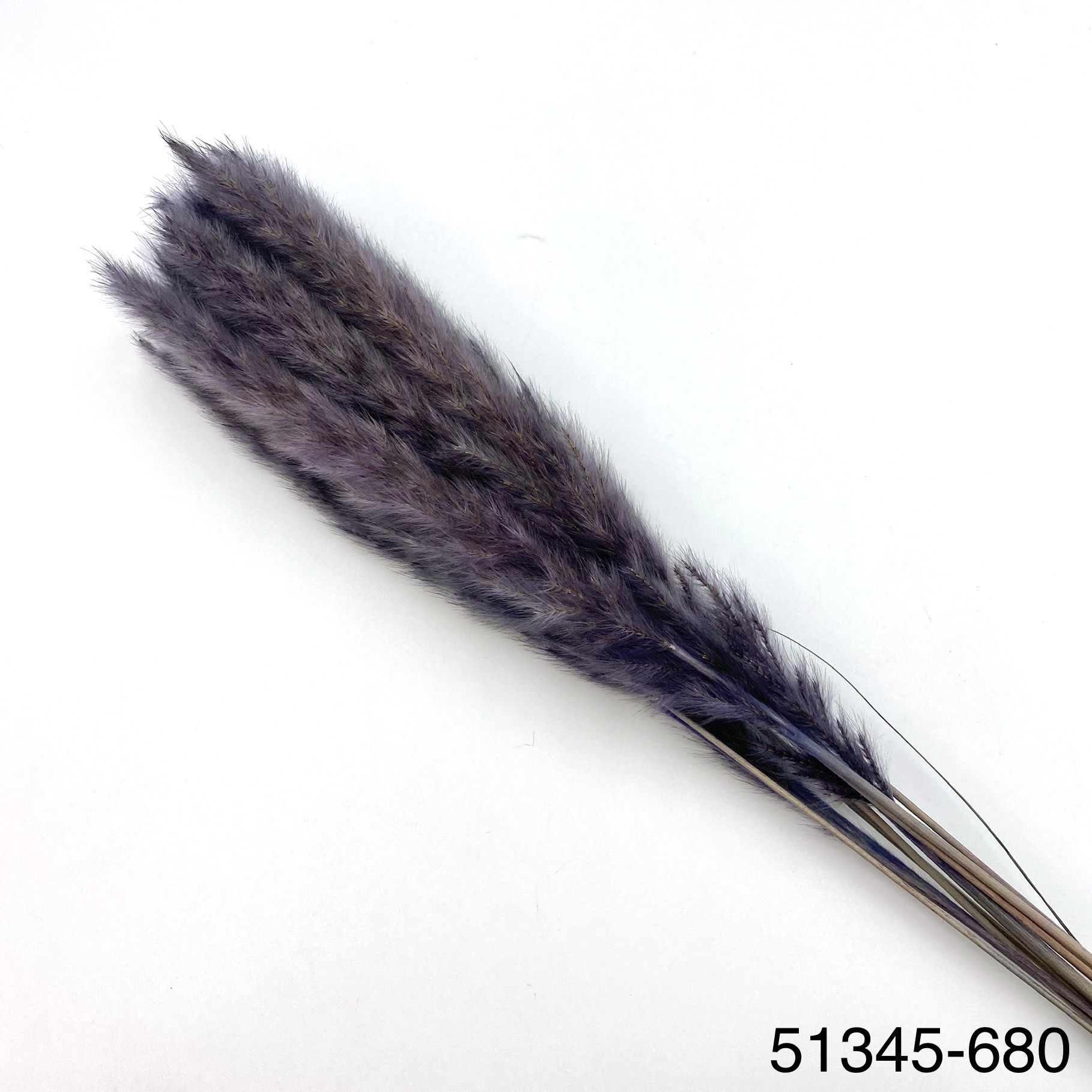 小芒草  51345-680