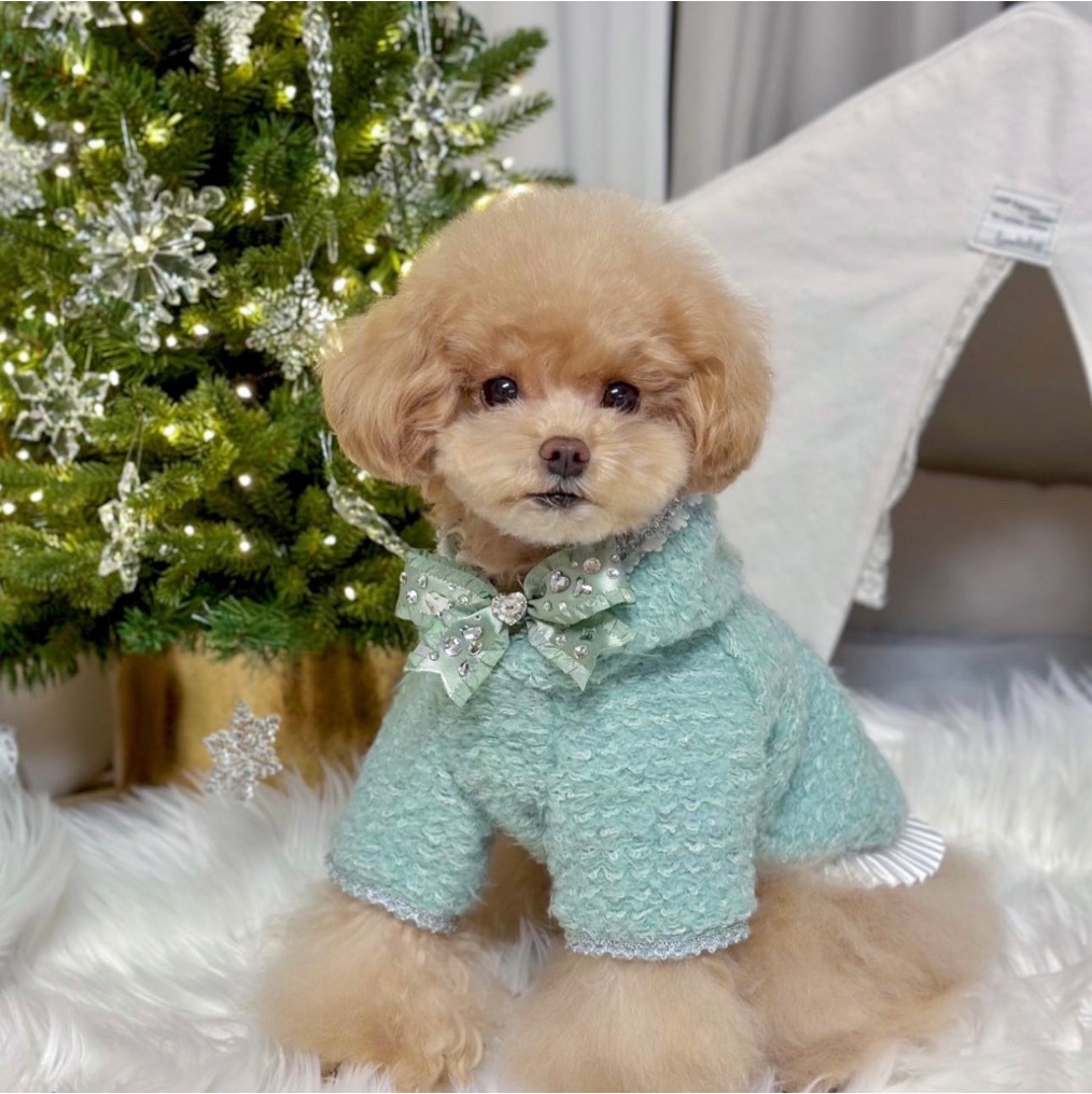 Jella 針織連帽上衣