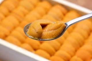 特選A 級馬糞/白海膽 250g（整排）