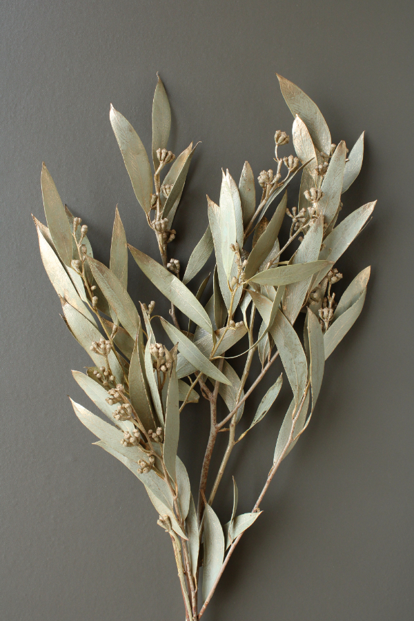 琥珀葉-噴金 40150-092