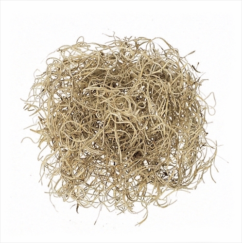 不凋松蘿61061-000