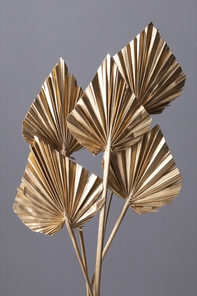 日本乾燥蒲葵葉 54060-900